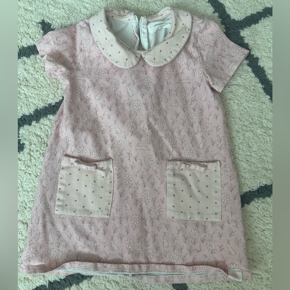 Sweet Honey bunny/easter dress